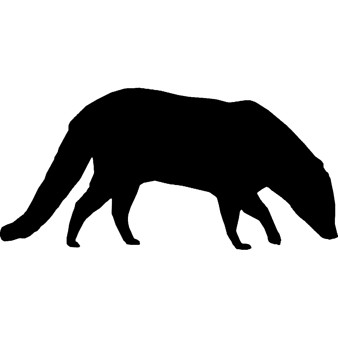 Civet Logo